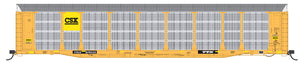 HO Scale Bi-Level Auto Rack - CSX Patch on TTGX Flat Car